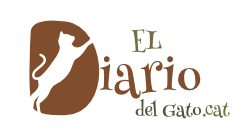 el diario del gato